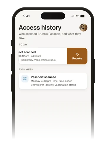 The Passport access history, with options to revoke one business or all of them.