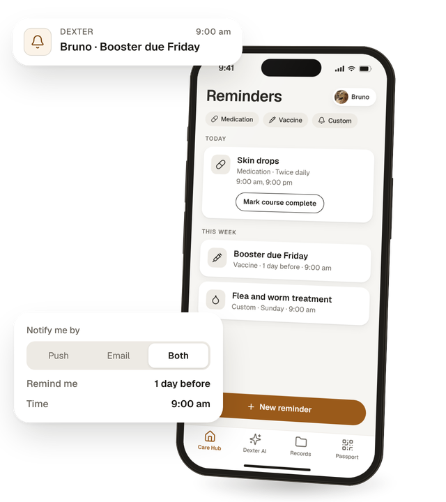 Medication, vaccine and custom reminders for Bruno in the Dexter app.